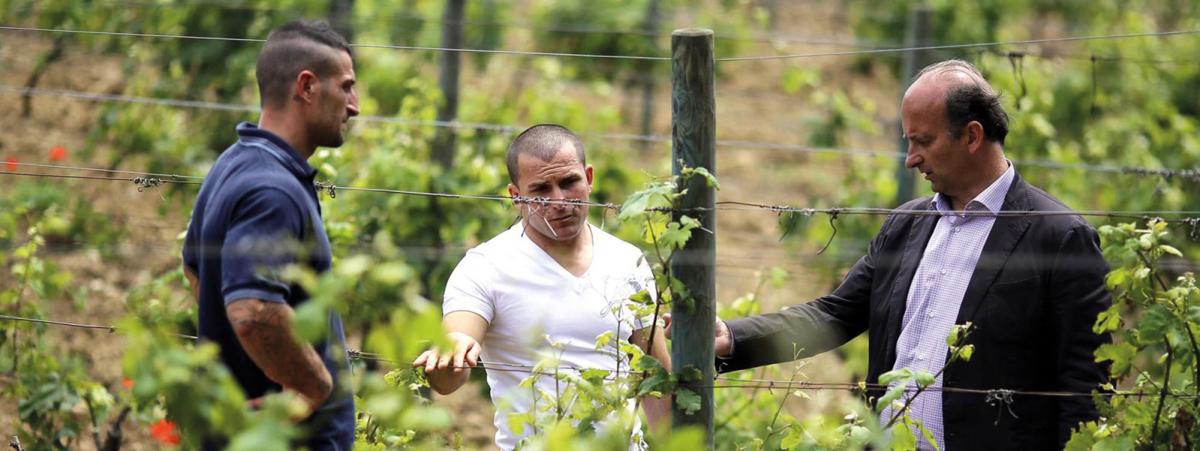 Lamberto Frescobaldi visits the family’s vineyard on the prison island of Gorgona