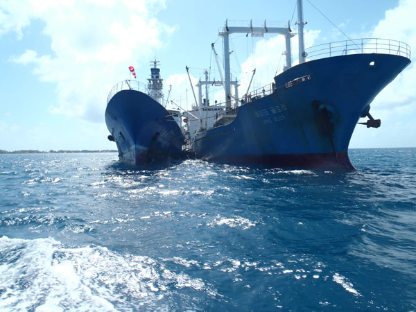 Trans-shipment, the transfer of fish between a fishing vessel and a carrier vessel at sea or in port, is an important part of the global commercial fishing industry. Pew is working to establish clear and consistent global rules for transshipment as part of its efforts to restore the health of marine ecosystems